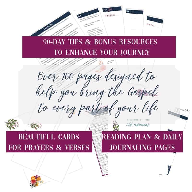 90 day bible reading plan and companion journal 90 day bible reading plan