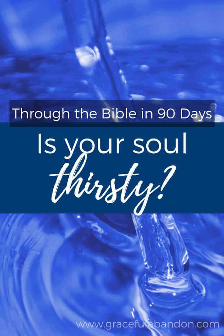 A look at the Psalms and what it means to have a thirsty soul.