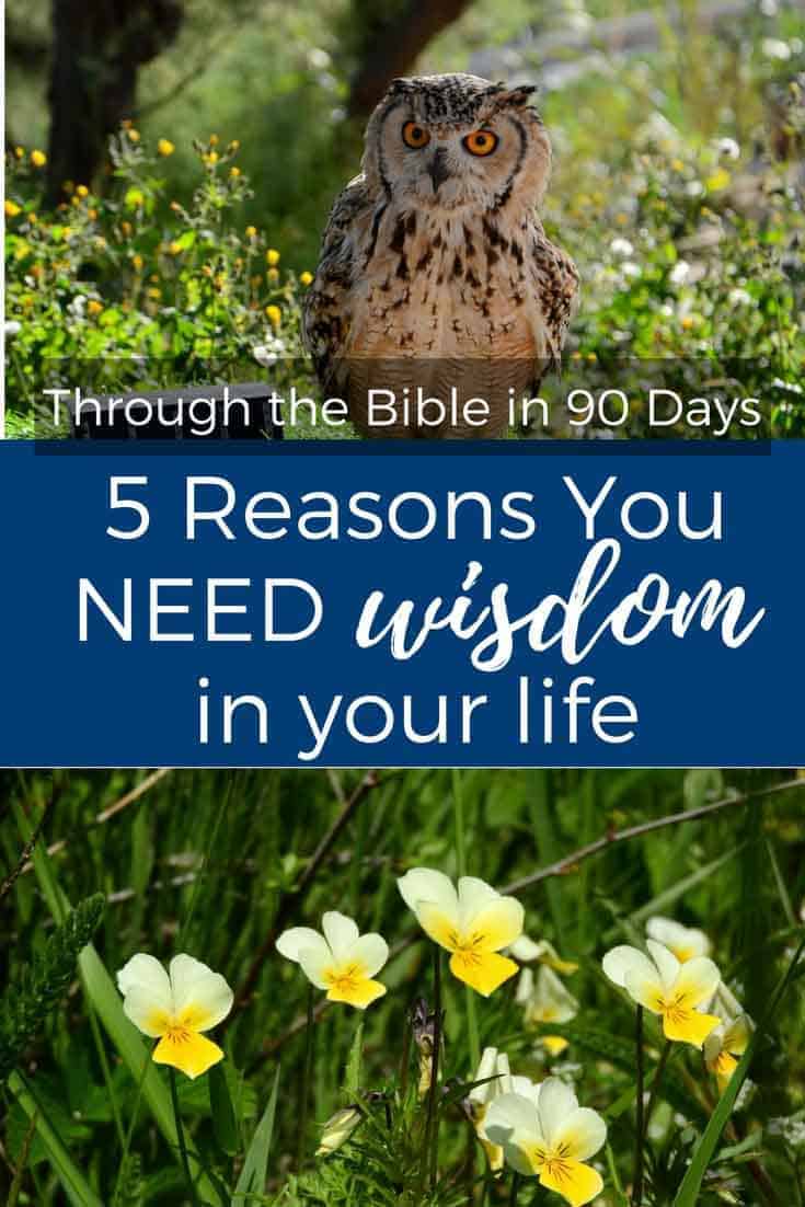 These 5 reasons you need wisdom in your life are simple, but important. Wisdom helps you be a good mom, a helpmeet to your husband and not just a wife, and also helps you make good choices as a Christian in day to day living.