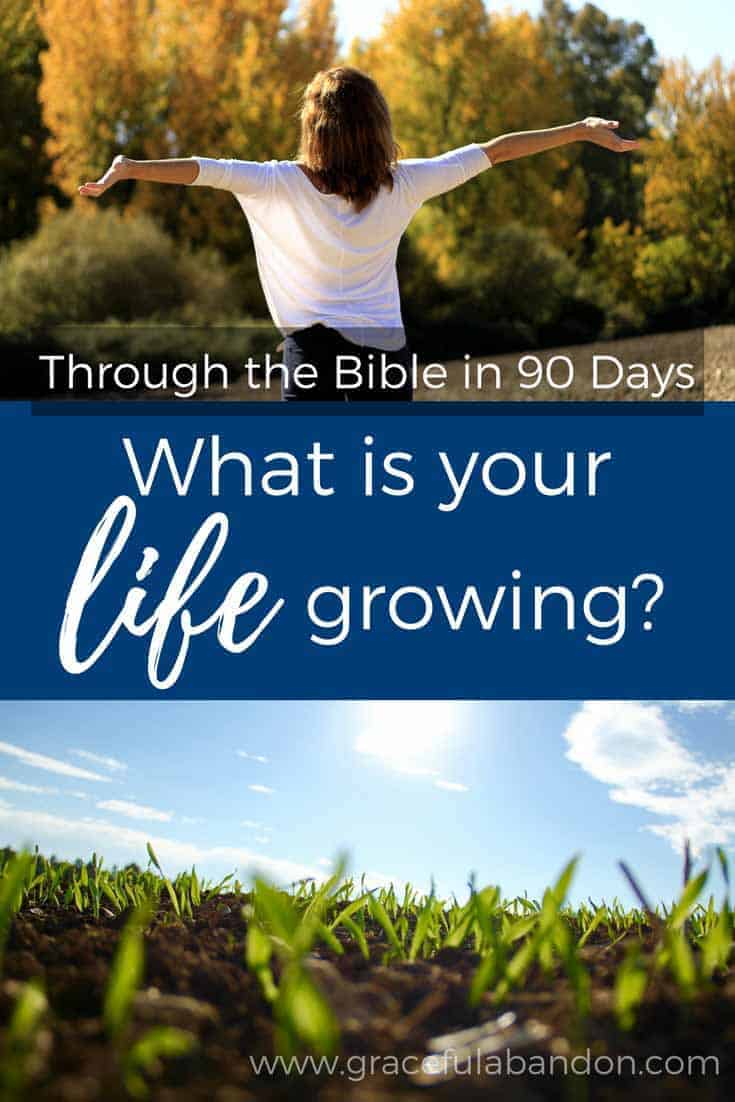 You've more than likely heard the parable about a farmer who scatters seed. Some of it gets eaten by birds, some sprouts and dies, and others are choked out by thorns. And then there's this golden seed that lands in perfect soil and bears a lot of fruit. You've also likely heard that you are the good soil because you're a Christian. But what if you're not?