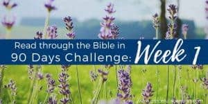 Read Through the Bible in 90 Days recap