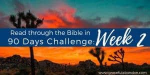 Bible in 90 days week 2. Summary of Leviticus, Numbers, and Deuteronomy.