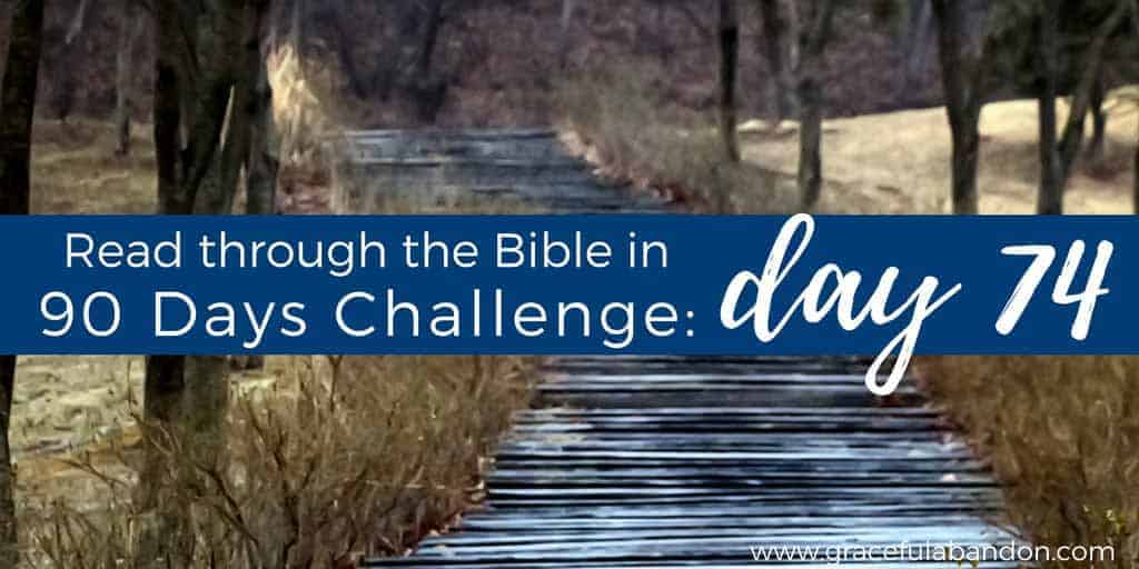 90 day bible challenge priorities