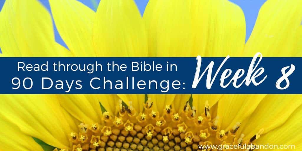 bible in 90 days