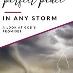 peace in life's storms